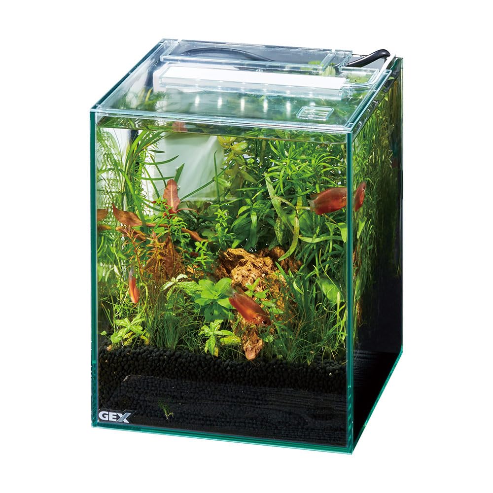 Amazon | GEX AQUARIUM グラステリアFL200 サイレントフローセット